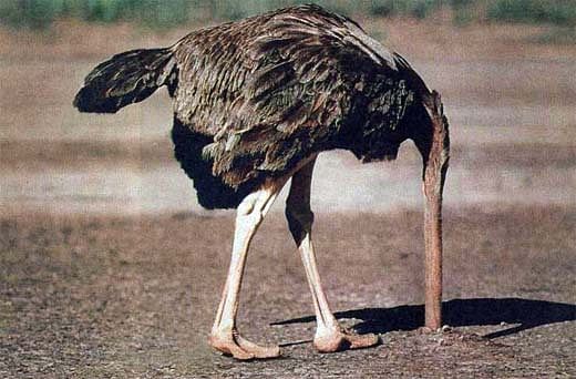 MEN MUST DEAL WITH THE OSTRICH MENTALITY IN THEM